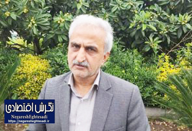 رئیس سازمان چای اعلام کرد: قیمت هرکیلو چای ممتاز ۶۰۰ هزارتومان
