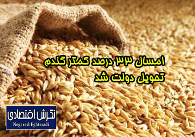 عضو شورای قیمت‌گذاری محصولات کشاورزی؛ امسال ۳۳ درصد کمتر گندم تحویل دولت شد