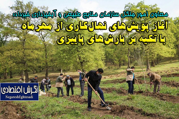آغاز پویش‌های نهال‌کاری از مهرماه با تکیه بر بارش‌های پاییزی