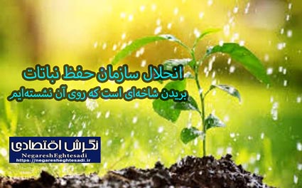 انحلال سازمان حفظ نباتات بریدن شاخه‌ای است که روی آن نشسته‌ایم