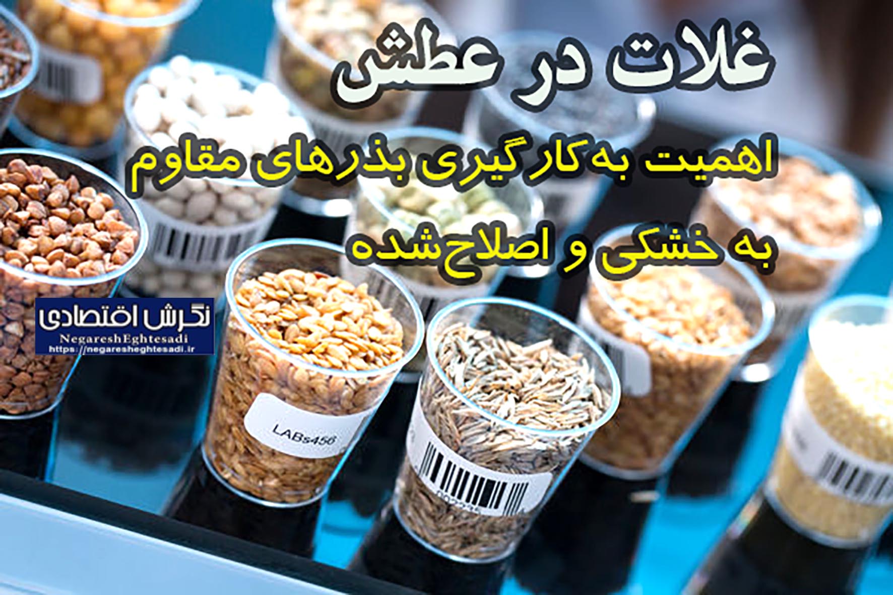 اهمیت به‌کارگیری بذرهای مقاوم به خشکی و اصلاح‌شده