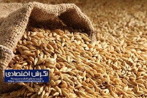 تقویت تولید داخلی نهاده‌ها، کلید کاهش وابستگی و تضمین امنیت غذایی
