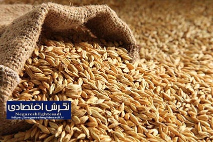 تقویت تولید داخلی نهاده‌ها، کلید کاهش وابستگی و تضمین امنیت غذایی