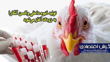 تولید انبوه داخلی واکسن آنگارا به زودی آغاز می‌شود