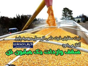 ثبت سفارش ذرت دامی از محل سهمیه پاییز آغاز می‌شود