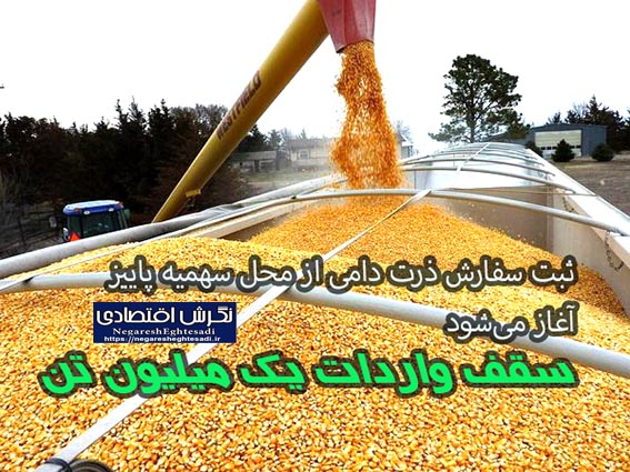 ثبت سفارش ذرت دامی از محل سهمیه پاییز آغاز می‌شود
