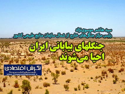 جنگلهای بیابانی ایران احیا می‌شوند