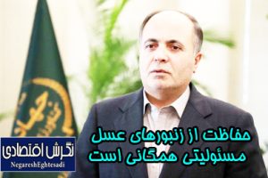 حفاظت از زنبورهای عسل مسئولیتی همگانی است