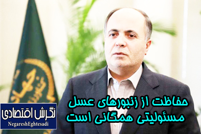 حفاظت از زنبورهای عسل مسئولیتی همگانی است