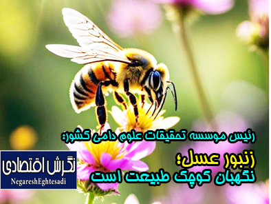 زنبور عسل؛ نگهبان کوچک طبیعت است