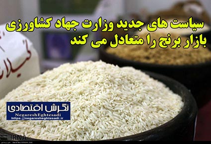 سیاست های جدید وزارت جهاد کشاورزی بازار برنج را متعادل می کند