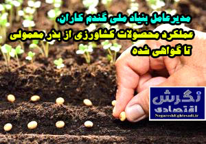 عملکرد محصولات کشاورزی از بذر معمولی تا گواهی شده