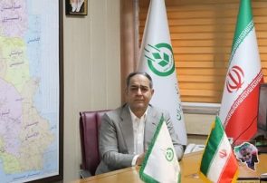 مدیرعامل تعاون روستایی: سهم تشکل‌های بخش کشاورزی از بازار به ۲۰ درصد می‌رسد