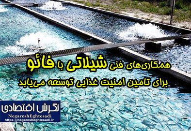 به گزارش نشريه نگرش اقتصادی،