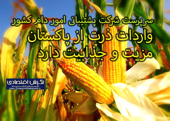 سرپرست شرکت پشتیبانی امور دام کشور: واردات ذرت از پاکستان مزیت و جذابیت دارد آماده مذاکره هستیم