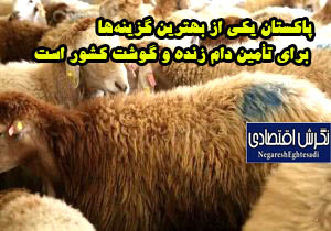 پاکستان یکی از بهترین گزینه‌ها برای تأمین دام زنده و گوشت کشور است