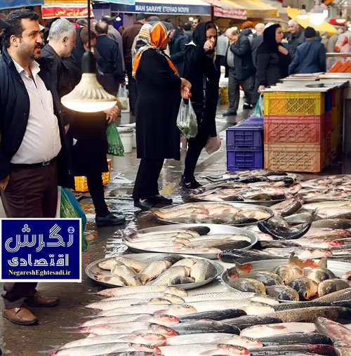 گیلان پارسال ۴ تن خاویار صادر کرد/ رشد ۶۵ درصدی صادرات شیلاتی
