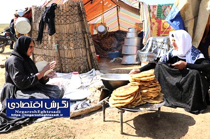 مشارکت اقتصادی زنان روستایی و عشایری متحول می‌شود