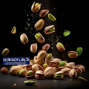 فعالیت ۵۷ ترمینال ضبط پسته در بردسکن/ ارقام فندقی، احمدآقایی و اکبری پیشتاز