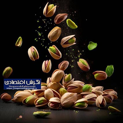 فعالیت ۵۷ ترمینال ضبط پسته در بردسکن/ ارقام فندقی، احمدآقایی و اکبری پیشتاز