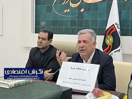 مدیریت جامع نخلستان‌ها/ کلید طلایی تولید پایدار خرما در جنوب کرمان