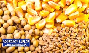 توزیع ۶۴ هزار تن نهاده دامی در قزوین/ رشد ۱۹۲ درصدی