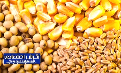 توزیع ۶۴ هزار تن نهاده دامی در قزوین/ رشد ۱۹۲ درصدی