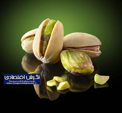 پسته خراسان رضوی/ محصولی راهبردی با جایگاه ملی