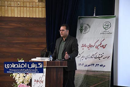 صالحی جوزانی: آینده‌پژوهی و مکانیزاسیون کلید تحول کشاورزی دیم/ موسسه دیم در میان سه موسسه برتر تات