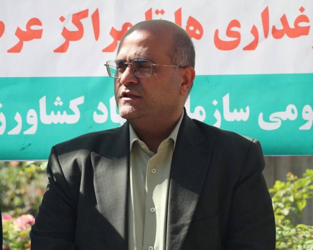 آغاز مانور سراسری نظارت بر بازار کالاهای اساسی در قزوین با تمرکز بر مرغ گرم