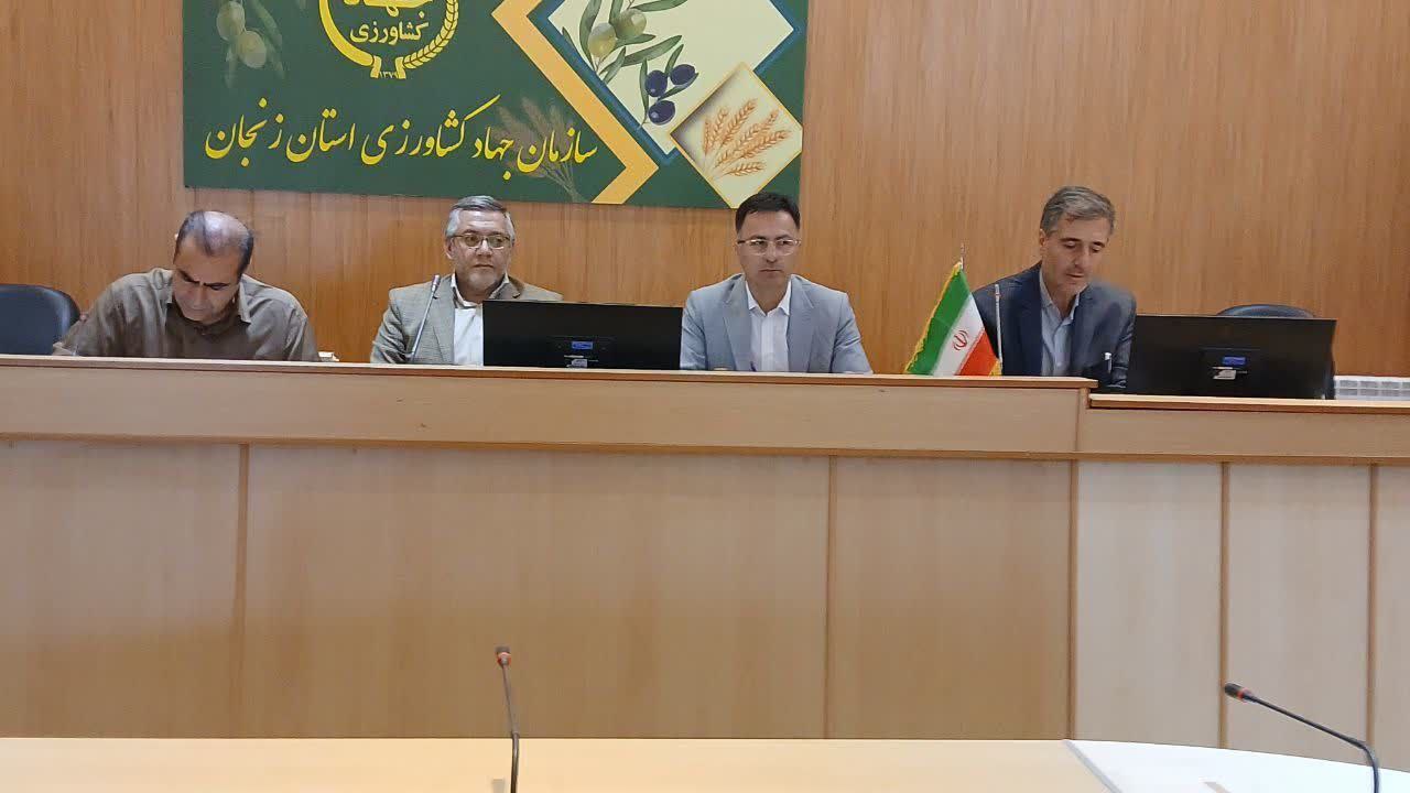 رئیس سازمان جهاد کشاورزی زنجان: اجرای برنامه‌های استانی برای تأمین کالاها و تحقق منویات رهبری در دستور کار است