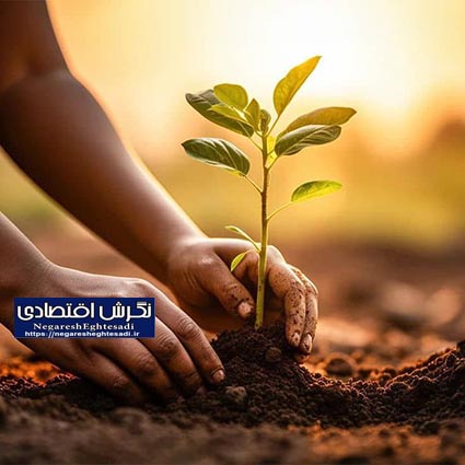 قانون حفاظت از خاک، خط قرمز جهاد کشاورزی اردبیل؛ توقف رهاسازی پلاستیک