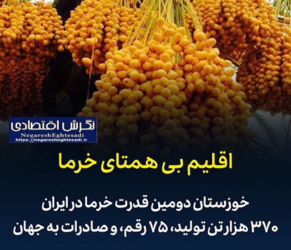 خوزستان دومین قدرت خرما در ایران: ۳۷۰ هزار تن تولید، ۷۵ رقم، و صادرات به جهان