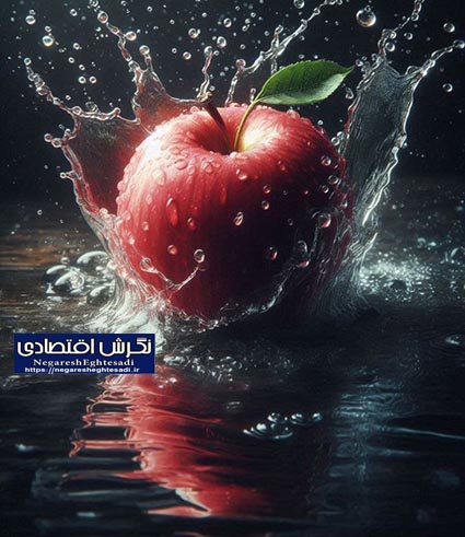 برداشت ۴۵۰۰ تن سیب از باغات آوج