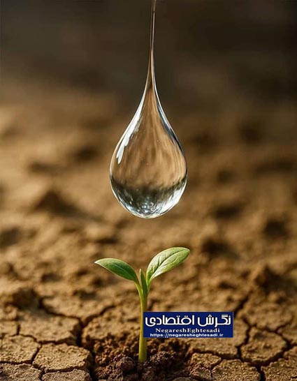 خراسان رضوی در مسیر جهش کشاورزی/ نگاهی به تازه‌ترین اقدامات سازمان جهاد کشاورزی