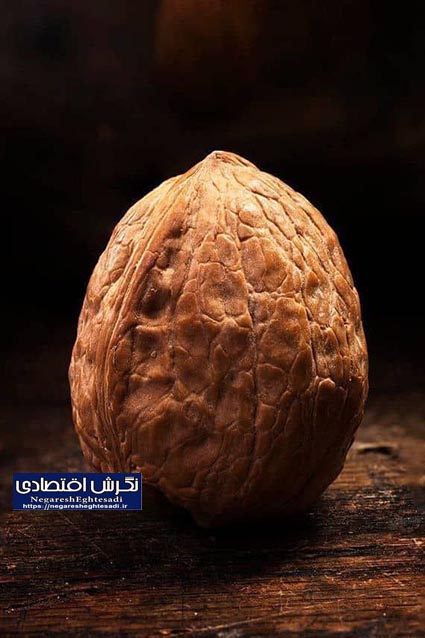 آغاز برداشت محصول گردو از باغات شهرستان کوهسرخ/پیش بینی برداشت ۱۵۰تن