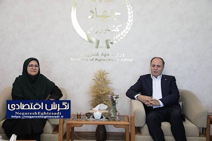 گزارش تصویرے | دیدار غلامرضا نوری وزیر جهاد کشاورزی با فرزانه انصارے رییس سازمان ملی استاندارد 🟡در این نشست، راهکارهای ارتقاء استانداردها در بخش کشاورزی مورد بحث و بررسی قرار گرفت.