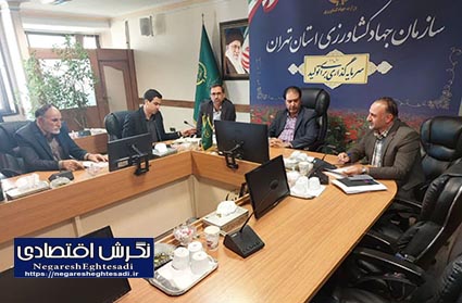 اولین جلسه کمیته راهبردی تنظیم بازار میوه ایام نوروز سال ۱۴۰۵ برگزار شد