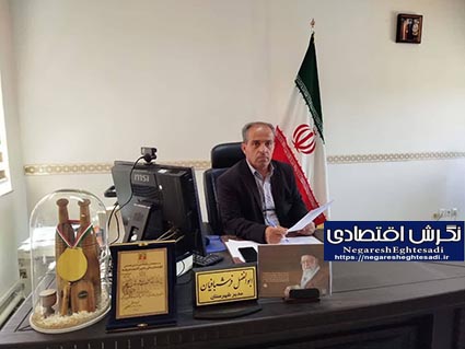 افزایش ۱۳۰ درصدی جوجه‌ریزی در شهرستان اسکو 