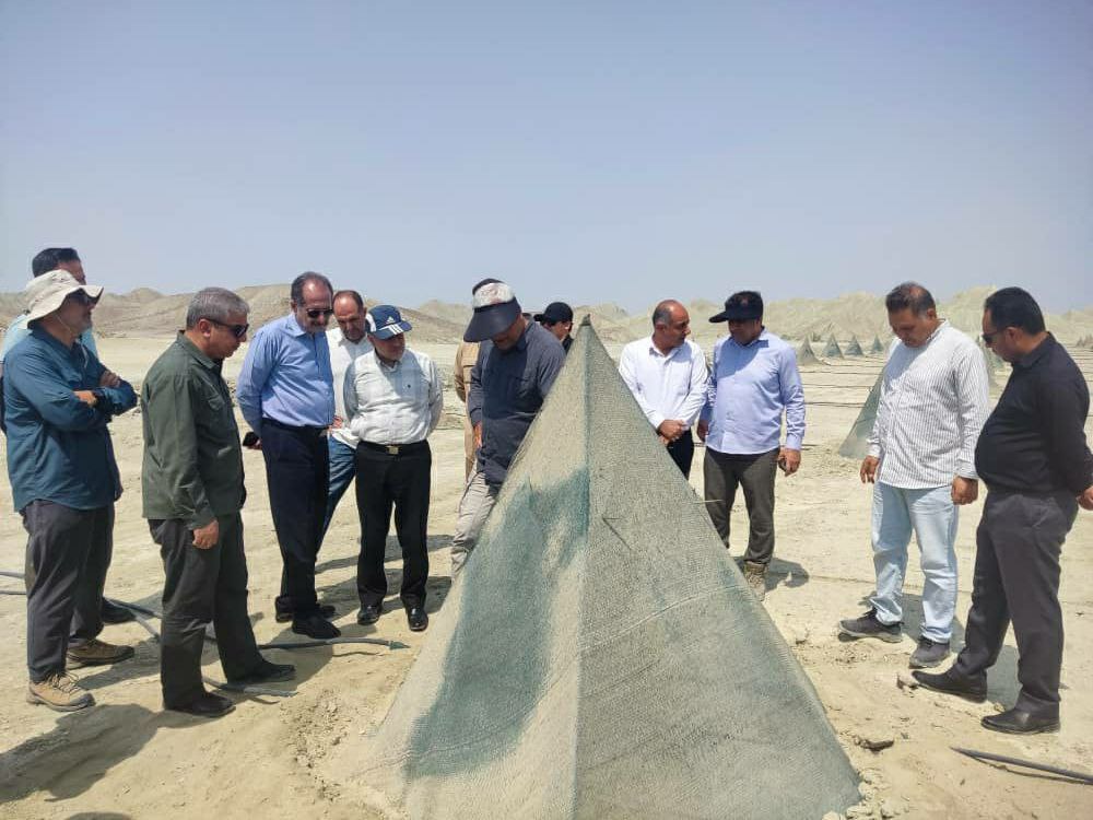 بازدید معاون وزیر جهاد کشاورزی از بزرگترین نخلستان مکانیزه مجول در بشاگرد