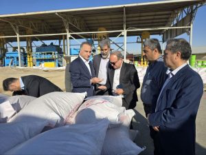 توسعه مراکز تولید بذر باکیفیت، کلید افزایش بهره‌وری و امنیت غذایی
