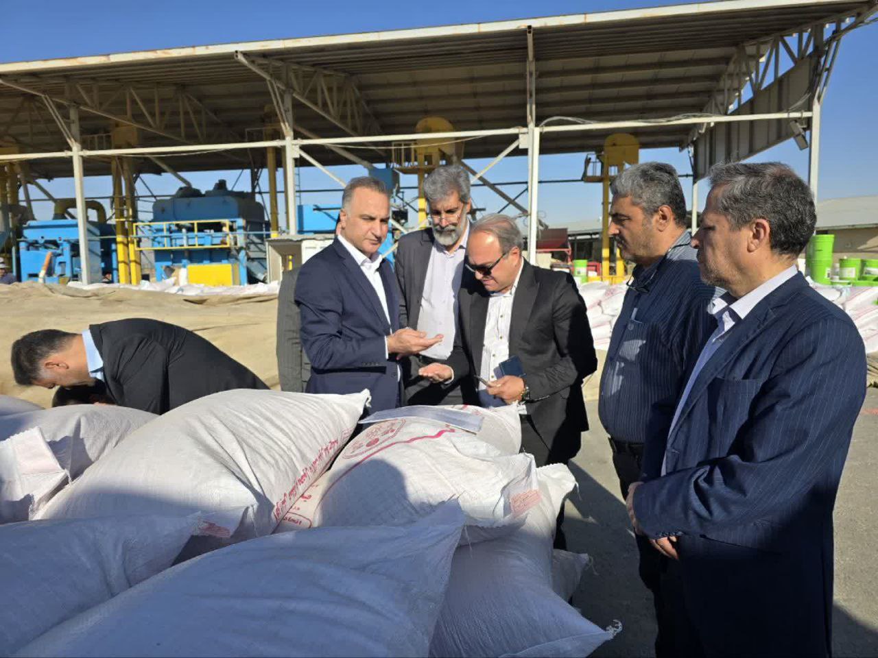 توسعه مراکز تولید بذر باکیفیت، کلید افزایش بهره‌وری و امنیت غذایی