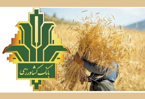 با عاملیت بانک کشاورزی ۹۴ درصد مطالبات گندمکاران پرداخت شد