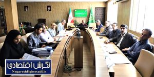 ۳ هزار هکتار اراضی سنددار شد