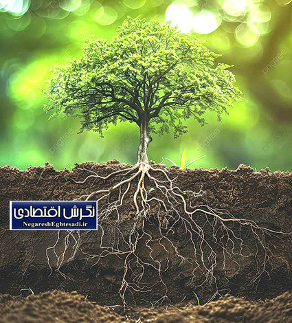 اخبار سازمان جهاد کشاورزی استان خراسان رضوے