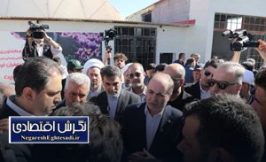 بازدید وزیر جهاد کشاورزی از مزرعه زعفران کبودرآهنگ و آغاز نمادین سال زراعی ۱۴۰۴-۱۴۰۵ در همدان