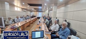 نشست تخصصی ارزیابی توان تولیدمثلی قوچ‌ها در ری برگزار شد