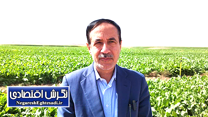 کاهش ۲۵ میلیارد مترمکعبی مصرف آب کشاورزی به دلیل خشکسالی/ تأکید بر توسعه آبیاری هوشمند