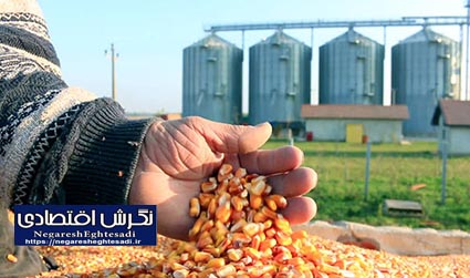 افزایش بهره‌وری اولویت مشترک دولت و تولیدکنندگان است