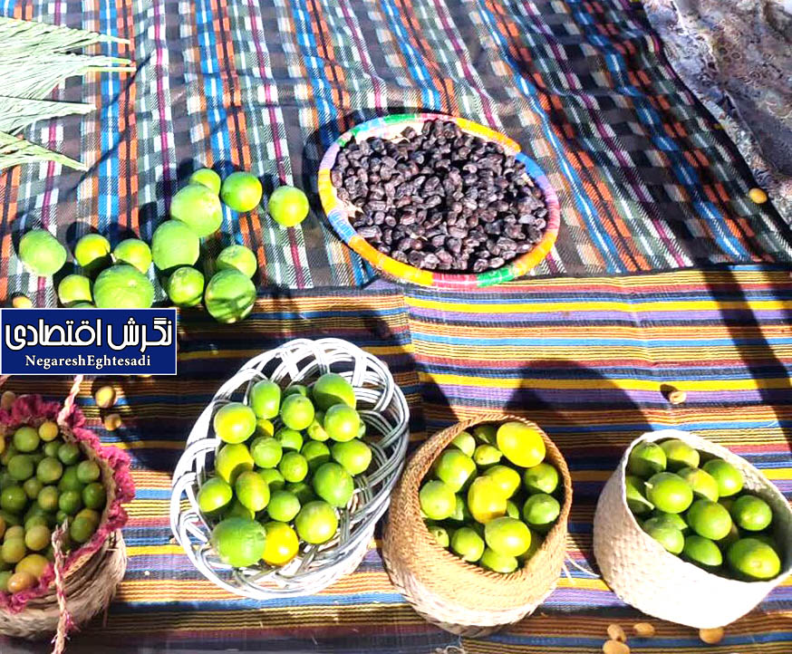 جشنواره ملی لیمو و خرمای رودان؛ رویدادی‌ برای توسعه کشاورزی و معرفی ظرفیت‌های هرمزگان
